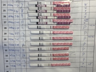 TTC after chemical pregnancy