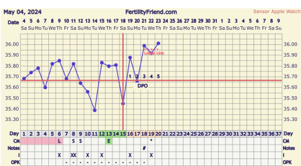 Another BBT question thread
