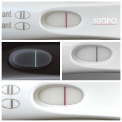 Start of BFP or indent