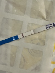 Evap or faint BFP