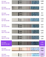 Clearblue digital ovulation