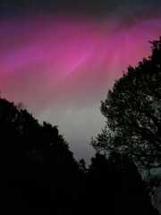 Northern Lights