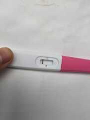 Clearblue digital ovulation