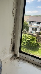 Is this wet rot?