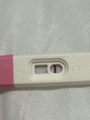 3dpo