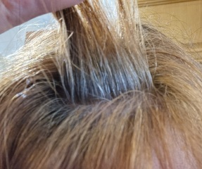 Greying hair