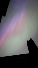 Anyone watching for Northern Lights tonight?