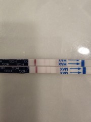 Tests and betas progression.