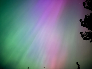 Aurora tonight (Saturday)
