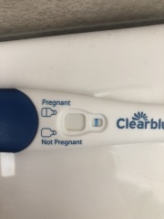 Pregnancy Tests Faint Line