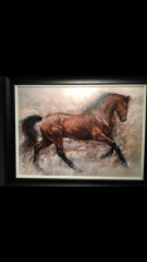 About to start a 6-month extension build...