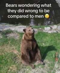 Are women safer if they encounter a bear or a man in the woods?