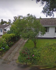 Anyone know how to prune a (very!) established lilac 'tree'? With pics