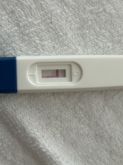 3dpo