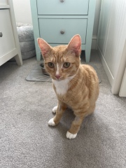 Our new addition!