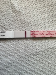 Anyone want to join for two week wait?