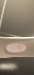 Positive or Evap? + discharge photo attached?