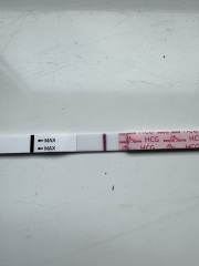 A line eye enthusiast #3