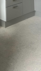 Can’t afford to carpet my council house