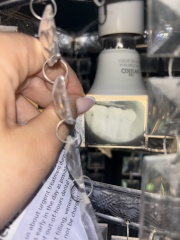 ANY DENTISTS ON Here