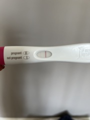 IVF/ICSI May or late April (Part 2)