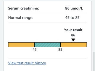 Can someone help me understand these blood results