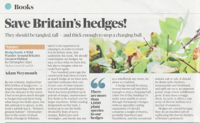 How can I build a bird-friendly, thick hedgerow?
