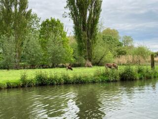 The Great Recovery part 2 - After Cancer treatment what next?