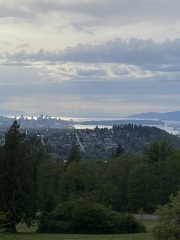 Come and tell me your dull and unexciting news 29: Calmly through the day