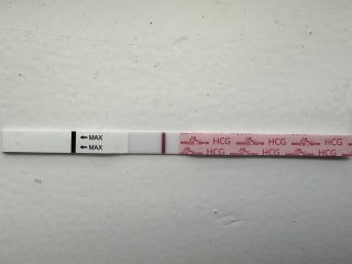 Anyone want to join for two week wait?