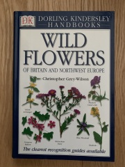 Please can you identify if this is giant hogweed?