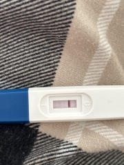 False positive on Morrisons pregnancy test?