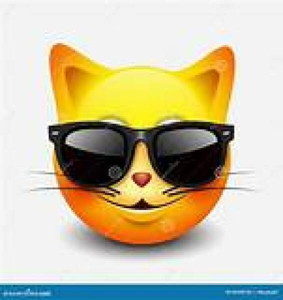 The One where TC moved to Scotland and joined the Excellent Cats