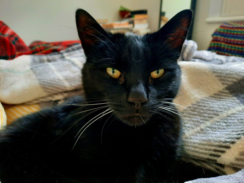 Thread 13 - TalkLair: “I say we take off and nuke the entire site from orbit. It's the only way to be sure.”