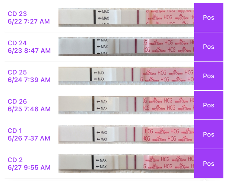 BFP after recent loss