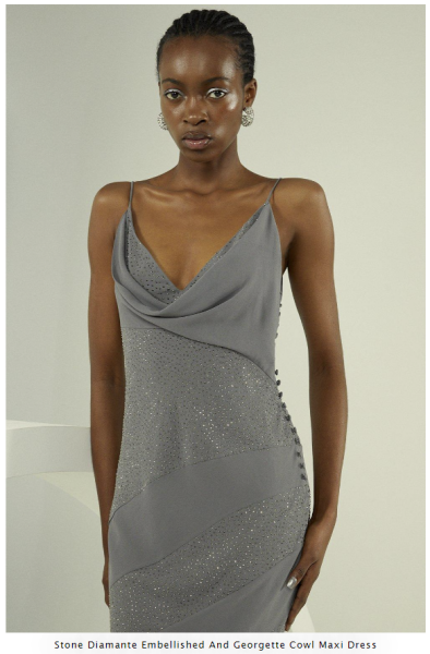 DH, Anita Rani and the see thru dress