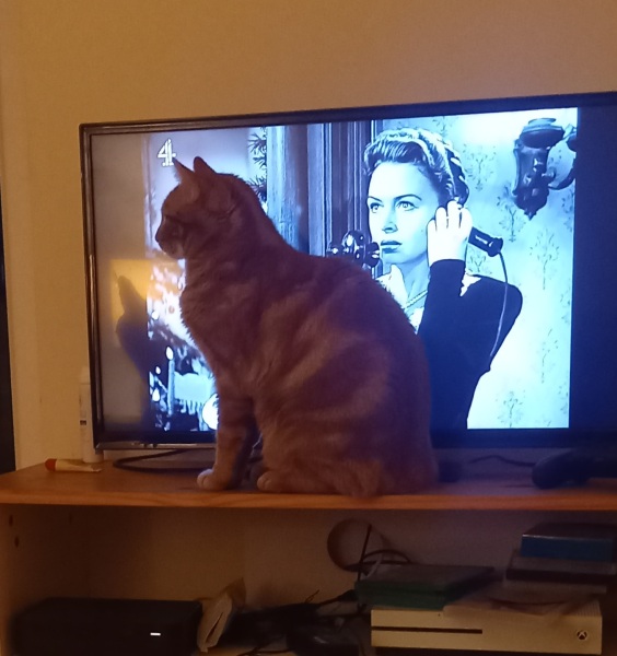 Thread 48 - Sunak - Capsized on the Ship of Lies