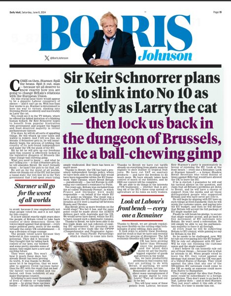 Boris Johnson's Daily Mail column and an offensive term about Keir Starmer