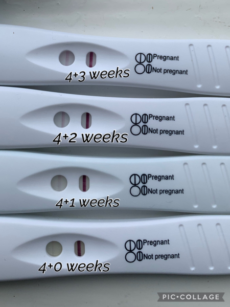 4 weeks line progression