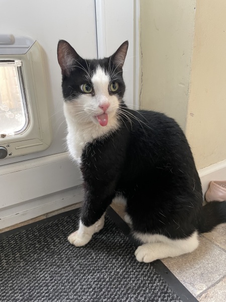 Come and tell me your dull and unexciting news 30: Calmly through the day