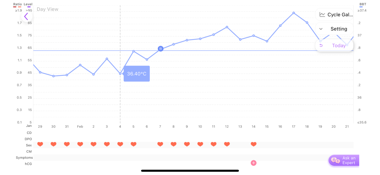 TTC after chemical pregnancy