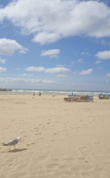 Thread 50 Sunak: Civil war, what civil war?