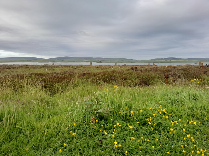 Any Witches here? Part 20