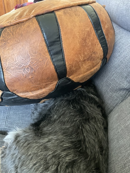 Thread 48 - Sunak - Capsized on the Ship of Lies