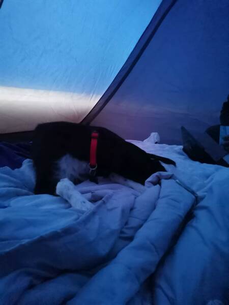 Camping