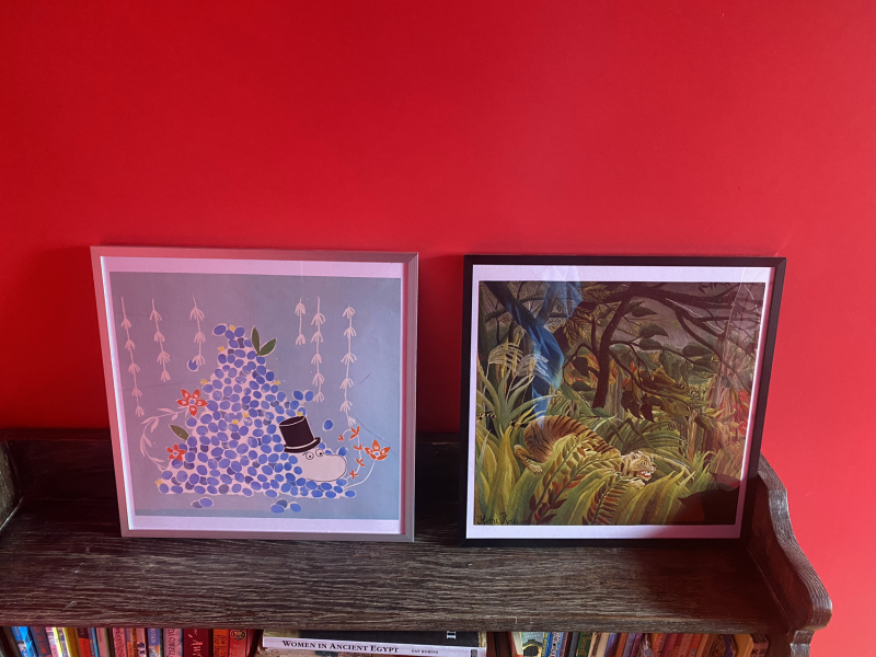 Help me decide on where and how to hang my pictures? (With photos)
