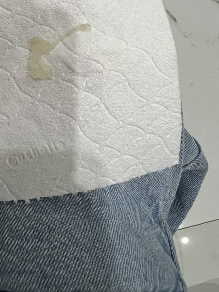 TMI PHOTO INC!! Is this my mucus plug?