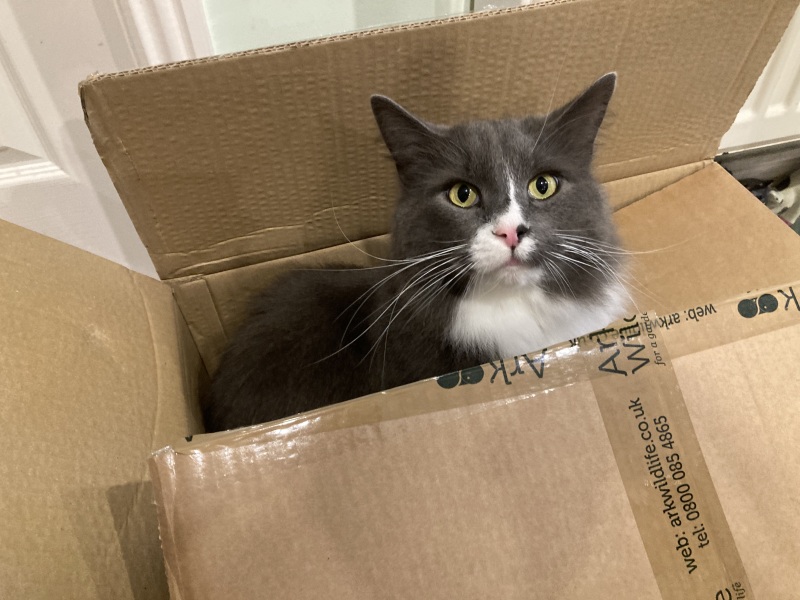 Thread 49 Sunak: He Left them on the beaches