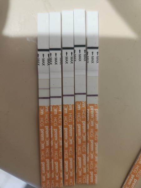 1 dpo - 2ww buddies