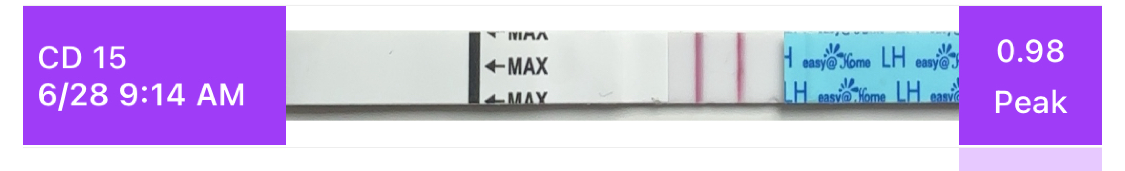 2 LH surges in one cycle?